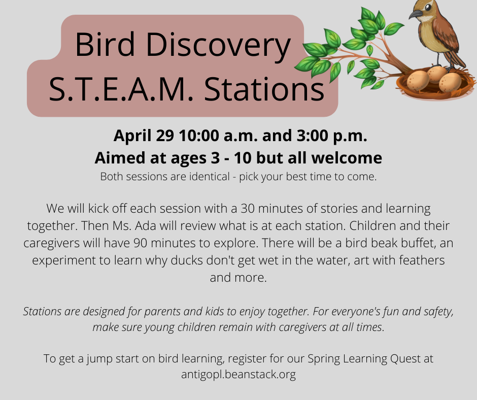 Bird Steam Stations
