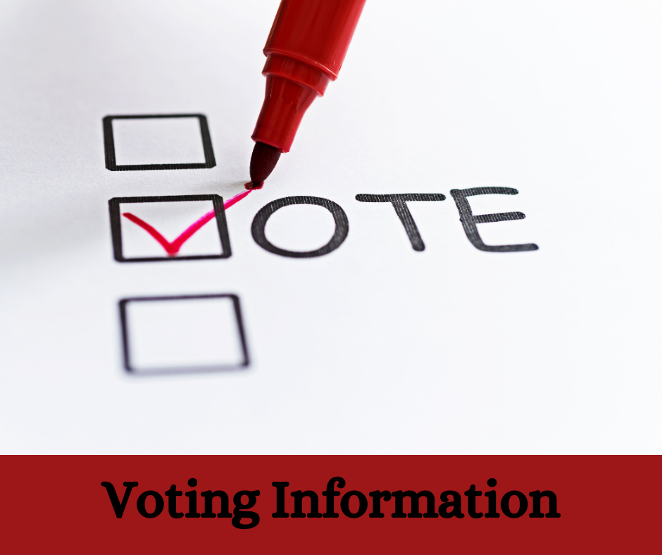Image of a ballot Voting Information