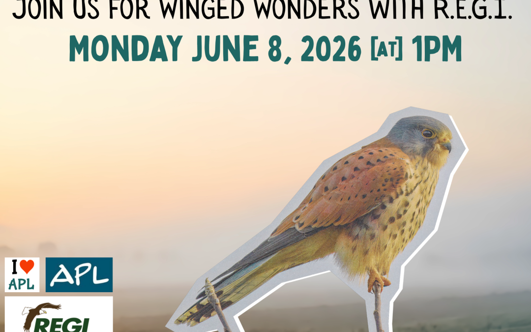 Winged wonders with Raptor Education Group on Monday June 8, 2026 at 1PM in the McGinley room